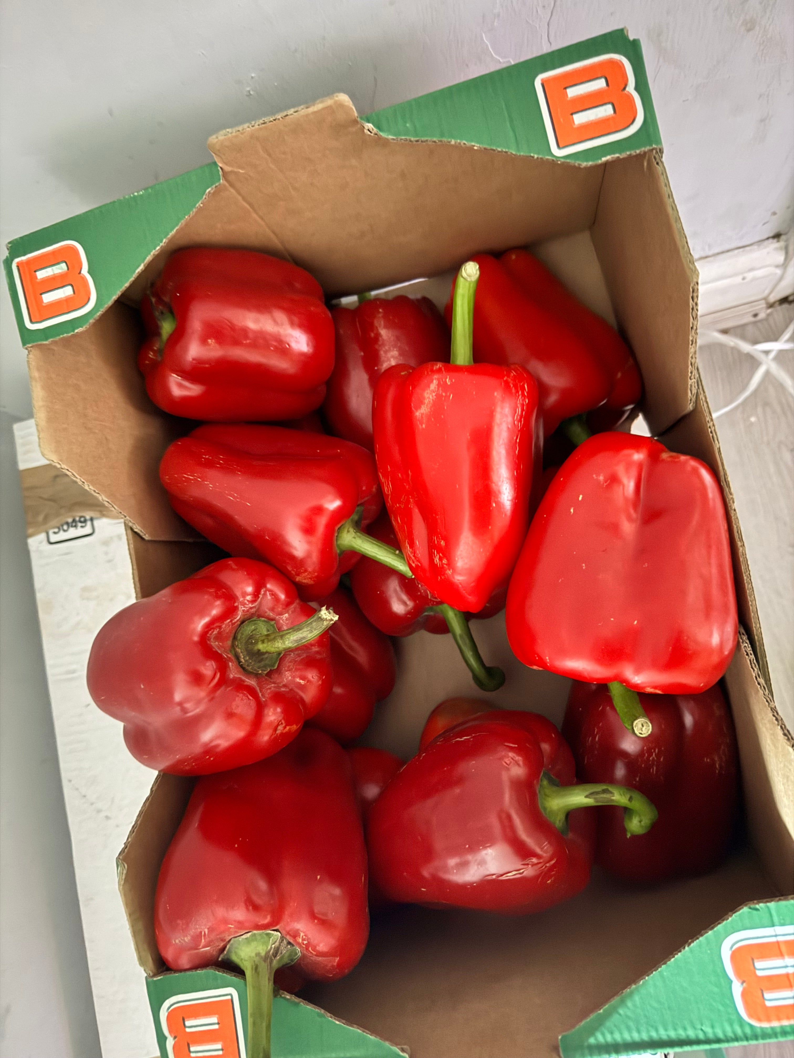 Red Bell Peppers