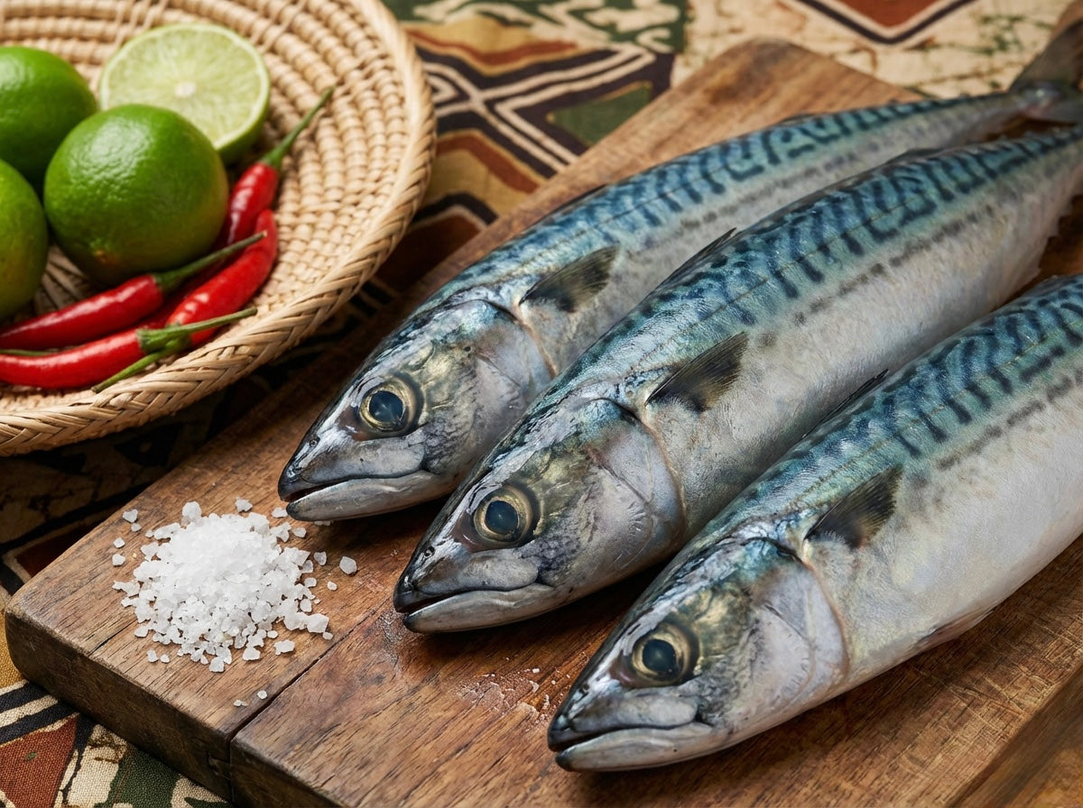 Mackerel Fish