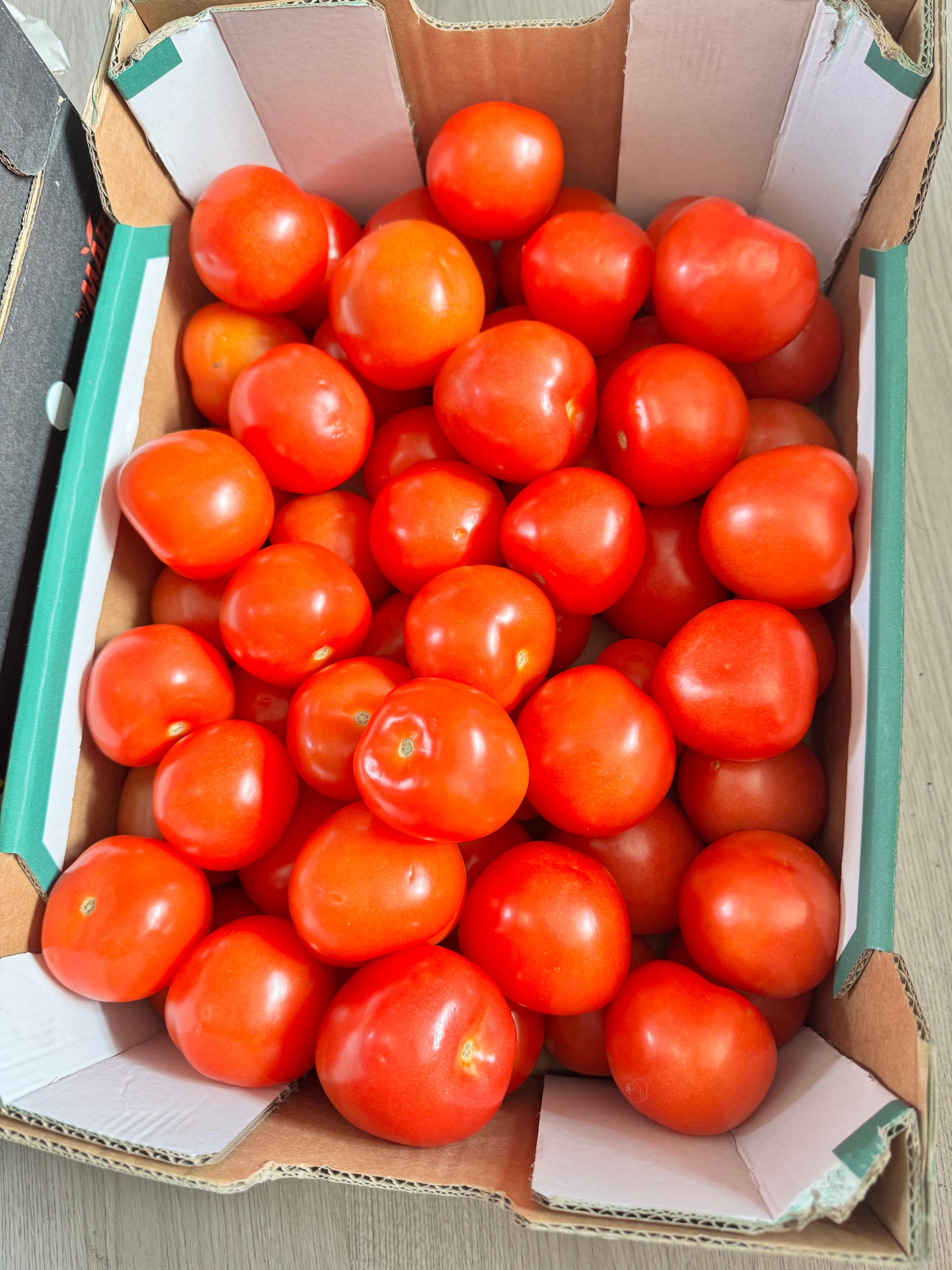 Fresh tomatoes