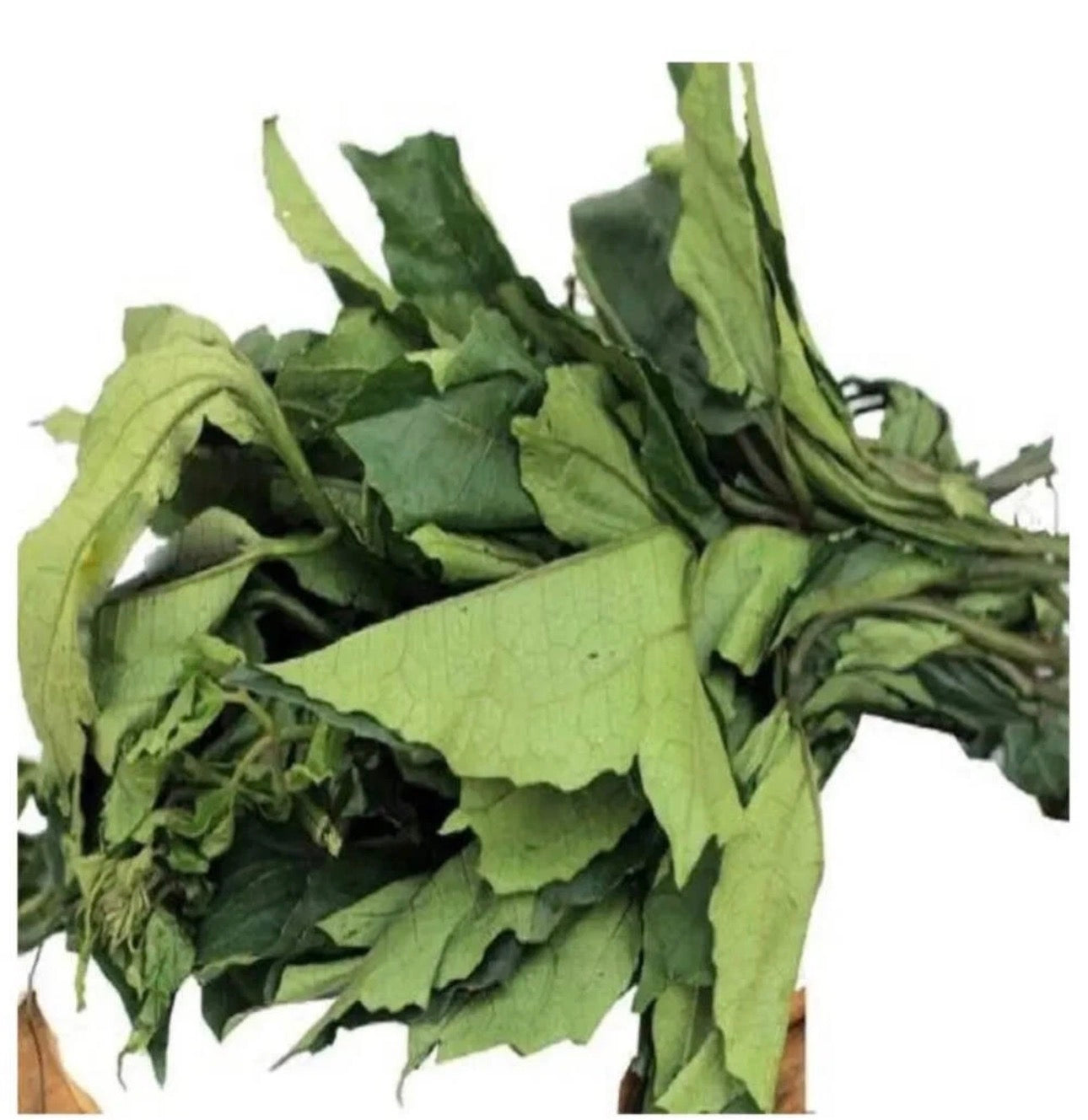 Ugu Leaves