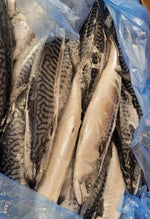 Mackerel Fish (Pack of 3)