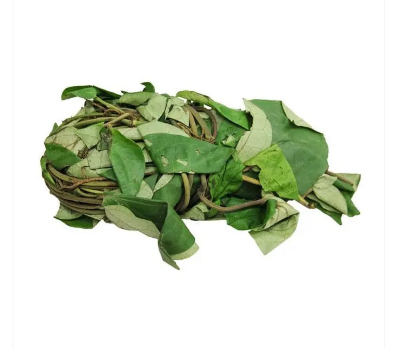 Uziza Leaves
