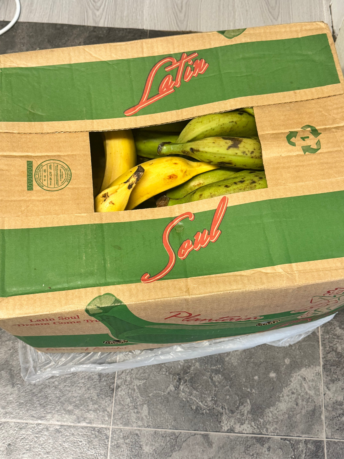 Plantain