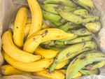 Plantain