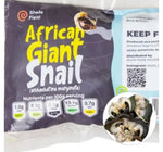 Snails