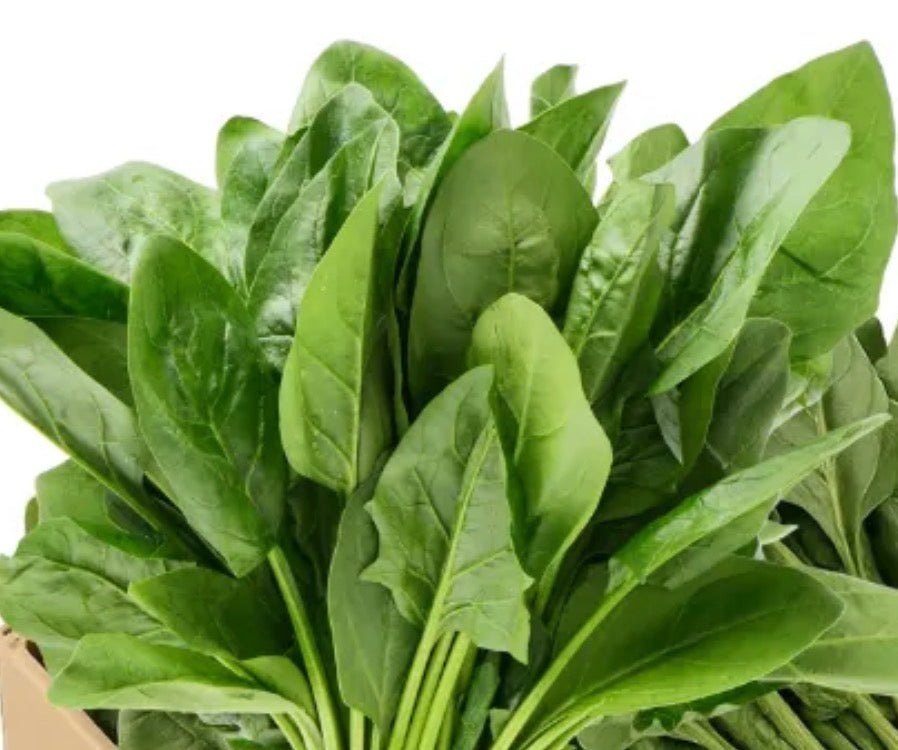Spinach (1 bunch)