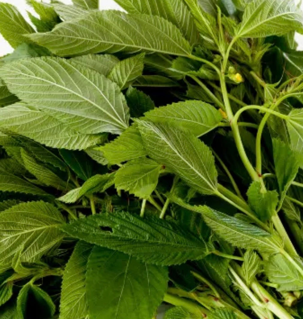 Fresh Ewedu (1 bunch)
